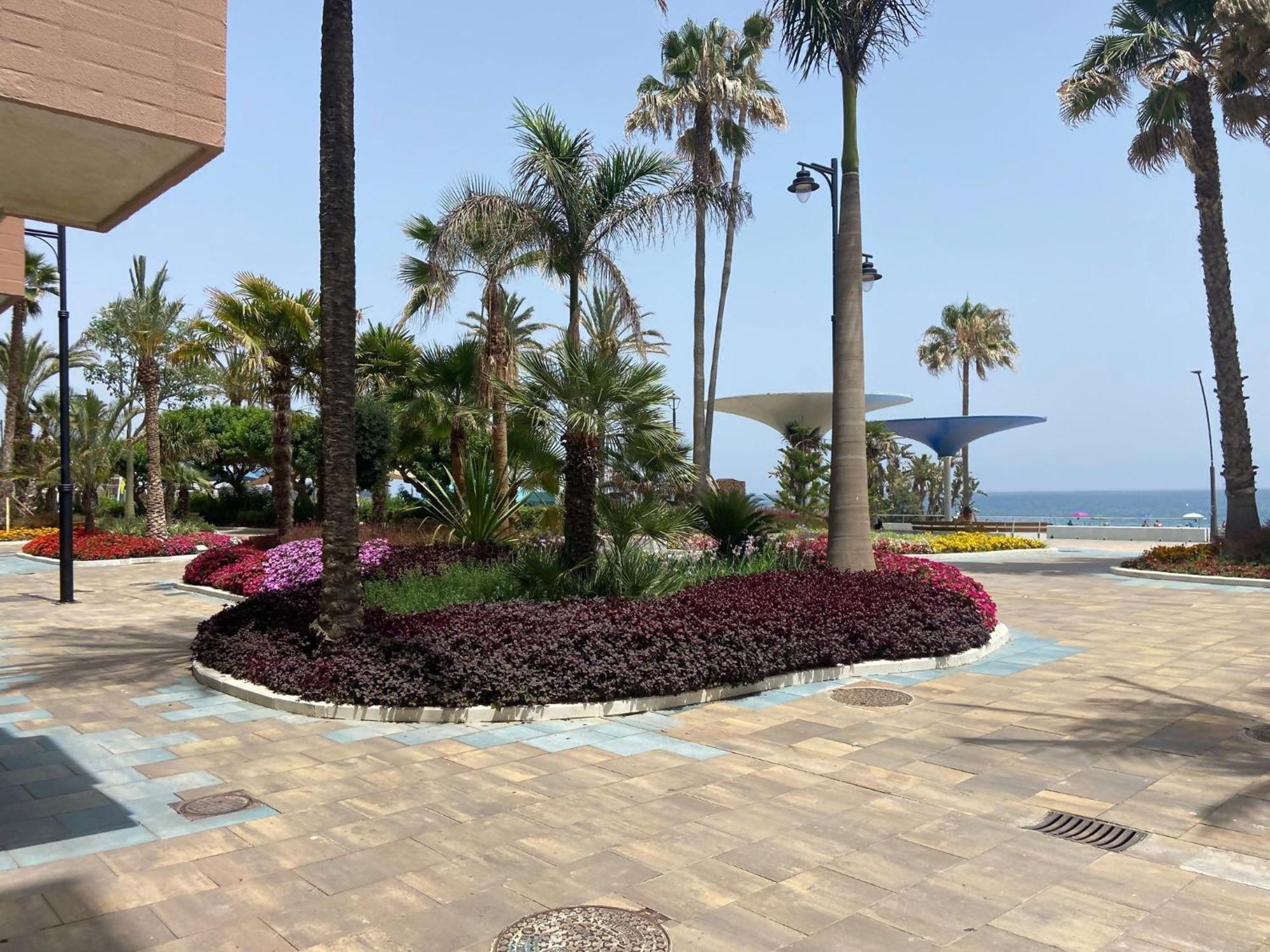 Victoria Home & Parking Estepona Exterior photo